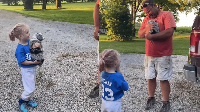 mans-heartwarming-reaction-to-getting-puppy-from-granddaughter-months-after-losing-previous-pet-wins-internet-viral-video